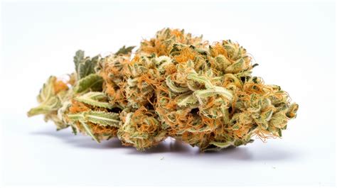 Breaking apart its buds will release a sweet and earthy fragrance that is accented with notes of citrus and tangerines. . 64 sunrise strain review